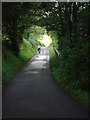 Minor road towards Bryn gwyn farm