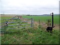 Restricted byway near Odstock