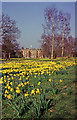 Trent Park House with daffodils