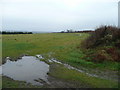 Fields at Northdown