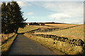 Country road and Aultdavie Farm