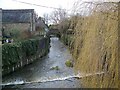 River Brue, Bruton