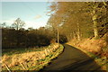 Country road to Rothie Vale