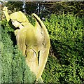 An angel in the cemetery, Kingston Lisle