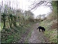 Bridleway, Broad Chalke