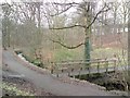 Lusset Glen from Glen Road