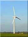SU2491 : Wind turbine,Westmill Farm, Watchfield 25th January 2008 by Brian Robert Marshall