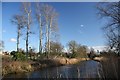 River Lark at Icklingham