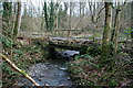 Bridge in Hafod Dingle