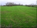 Gettystown Townland