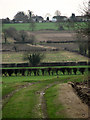 Track leading across fields