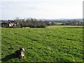 Fields On Southern Edge Of Yeovil