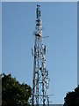 The Hutton transmitter mast