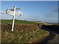 Woodland Cross