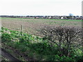 View across the fields from bridleway