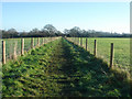 The Essex Way walking from Dedham Heath towards East Lane