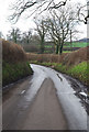 Country road east of Okeford Fitzpaine