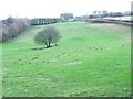 Fields above the Wye