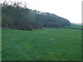 ST7103 : Hill Wood near Buckland Newton by Nigel Mykura