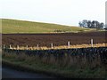 Countryside View near Newton of Arbirlot, Angus