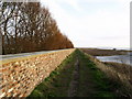 Humber Footpath at Brough