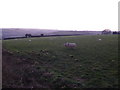 Evening twilight above Cattistock