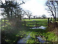 End of track off Howick Cross Lane