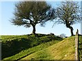 Track to the moors