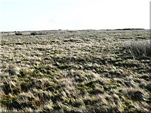 SO0342 : More moorland by Graham Horn