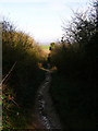 TQ5001 : Path Down Hindover Hill by Simon Carey