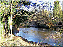 SO8274 : River Stour north of Hoo Brook by P L Chadwick