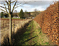 Footpath at Gattonside