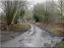 SU4541 : Bullington - Road by Chris Talbot