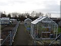 Allotments in Dalmuir