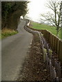 New hedge and fence near Somerby Church