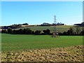 SU4027 : Farmland and pylon, south of Berry Down, Hampshire by Brian Robert Marshall