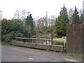 River Test in January, above the sluices