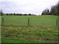 Derryhennett Townland