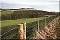 Looking towards the hill above Edintore