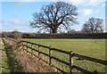 Field by footpath east of Coddenham