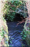 NY9364 : Mediaeval bridge over Cowgarth Burn in the Seal by Mike Quinn