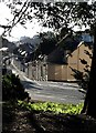 SX9164 : Ellacombe Road, Torquay by Derek Harper