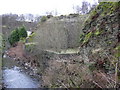 River Irwell at The Glen