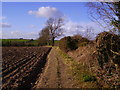 Barton Stacey - Farmland