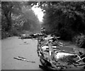 Derelict houseboats above Lock No 2, Basingstoke Canal