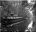 Derelict houseboats above Lock 2, Basingstoke Canal