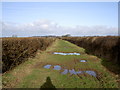 Roman Road Bridleway