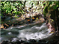 West Colwell:  Offwell Brook near West Colwell Farm 2007