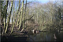 TL5262 : Pond near Anglesey Abbey by Bob Jones