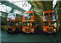 Ex-London Transport Routemaster Buses.